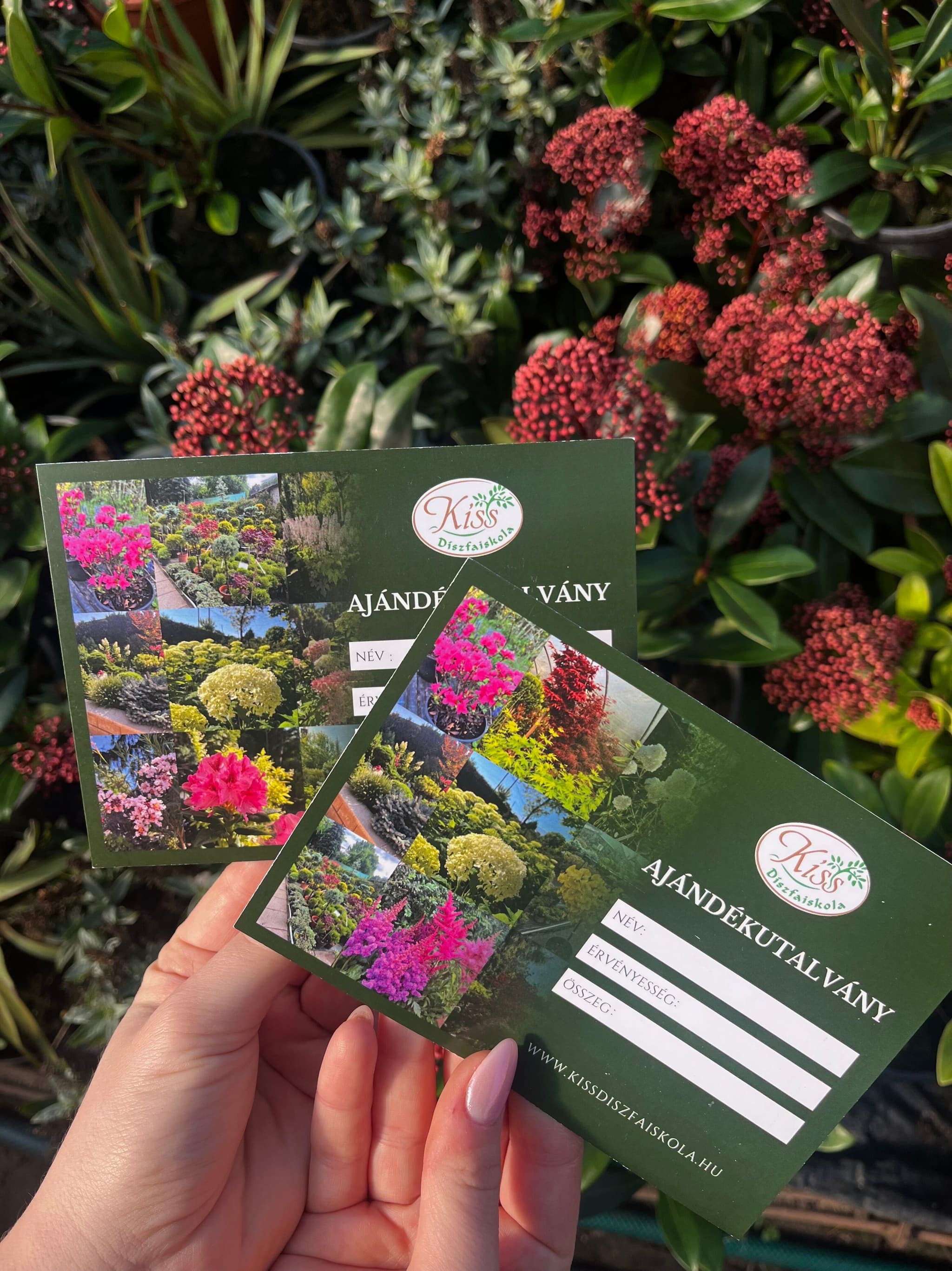 Kiss Díszfaiskola ajándékutalvány